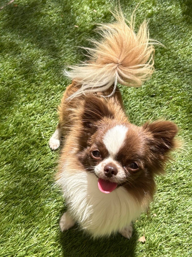 Vaïko (Sans Affixe)